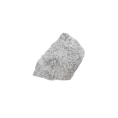 Atlas Lizard Dinosaur Bone Fossil Slice (Atlasaurus sp)