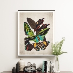 Minibeast Vintage Entomology Giclee Print (Papilio Two 1925)