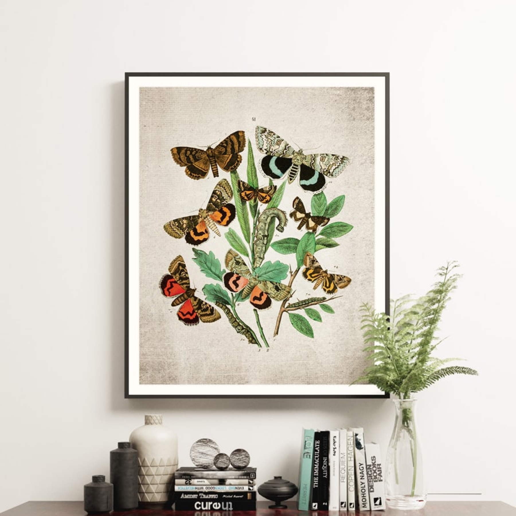 Vintage Entomology Giclee Print (European Moths Plate From 1882)