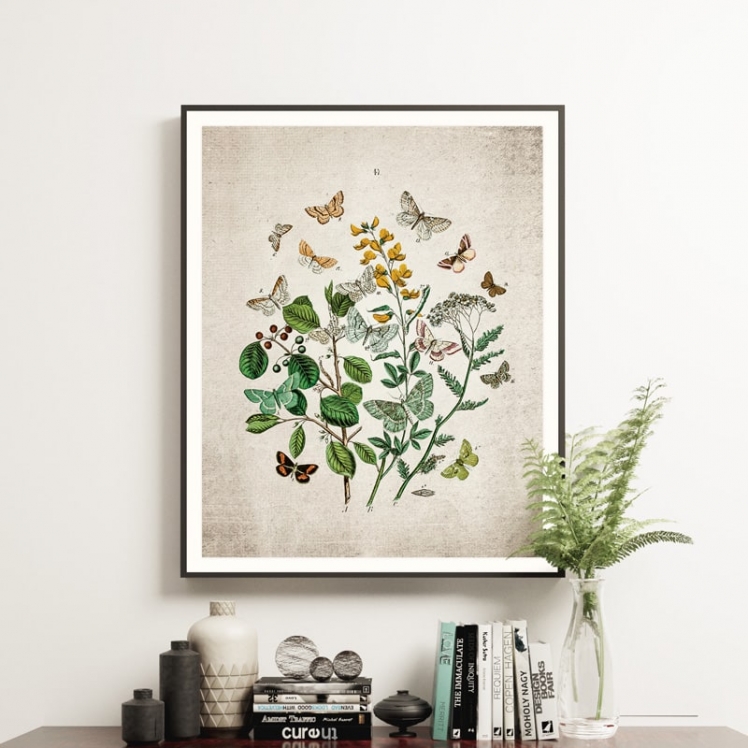 Vintage Entomology Giclee Print (British Butterflies Two Plate From 1882) Vintage Entomology Giclee Print (British Butterflies Two Plate From 1882)