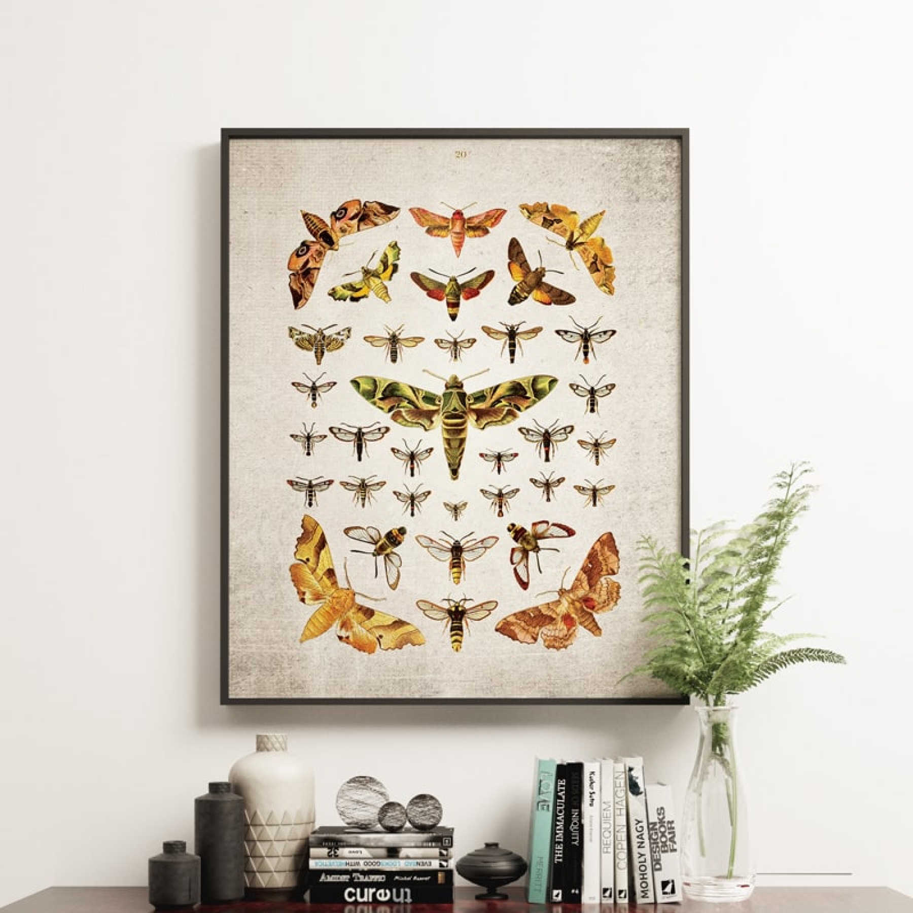Vintage Entomology Giclee Print (Moths Plate From 1837)