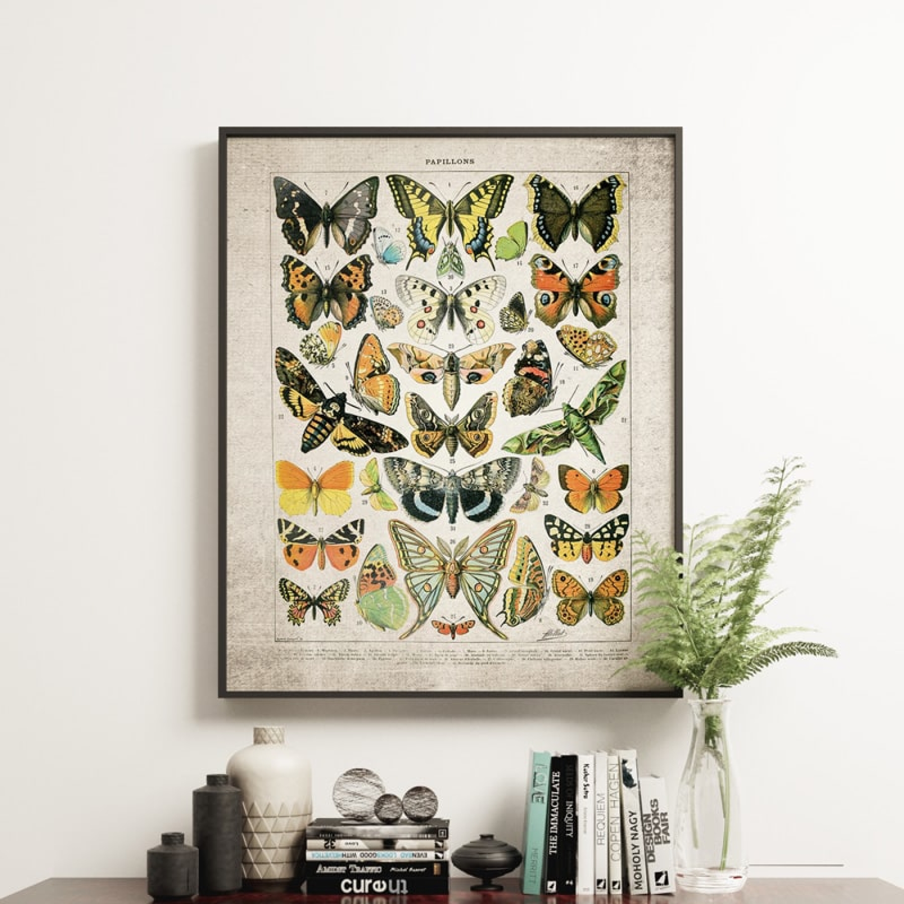 Vintage Entomology Giclee Print (Butterflies & Moths Plate From 1907)