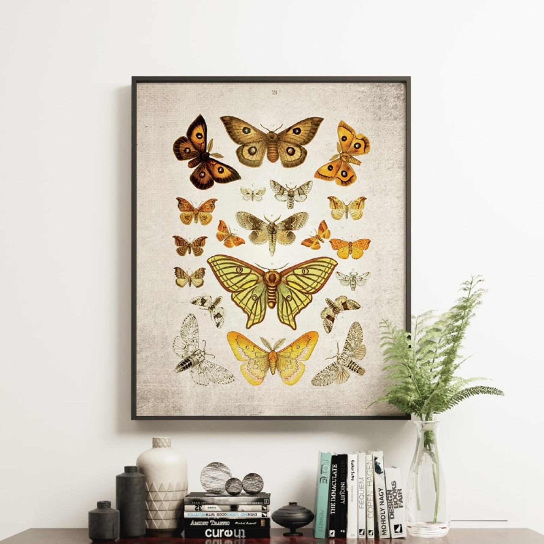 Vintage Entomology Giclee Print (Moth Plate From 1857)