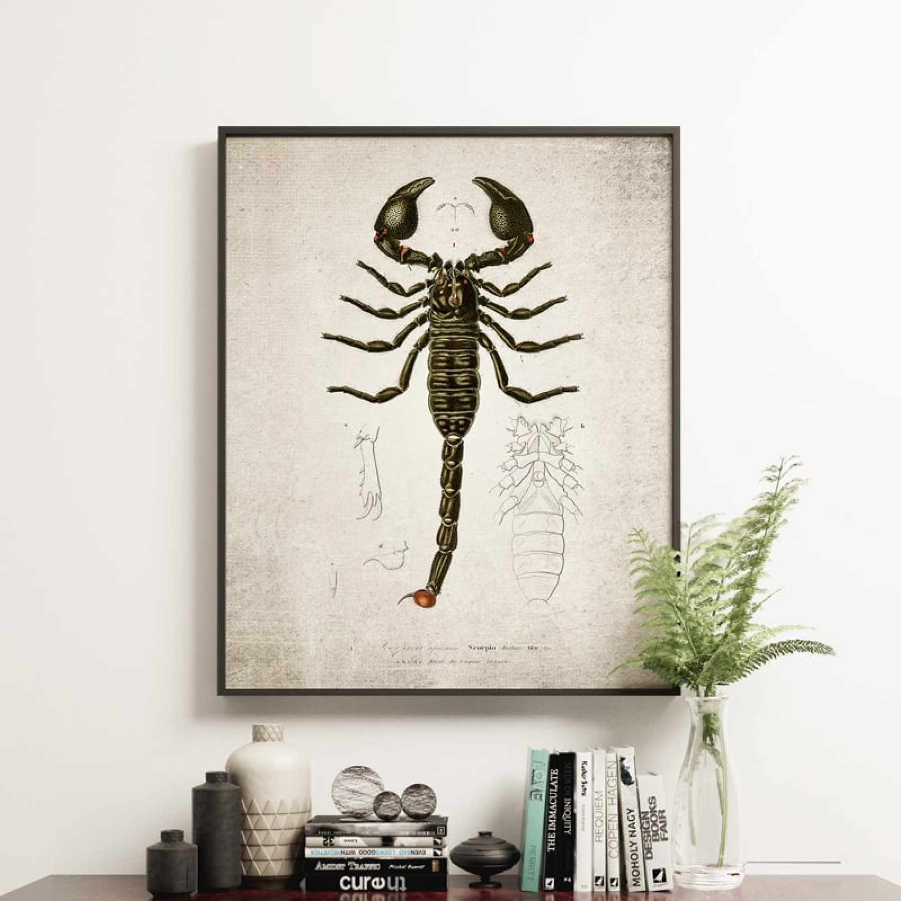 Vintage Entomology Giclee Print (Scorpion 1907) Vintage Entomology Giclee Print (Scorpion 1907)