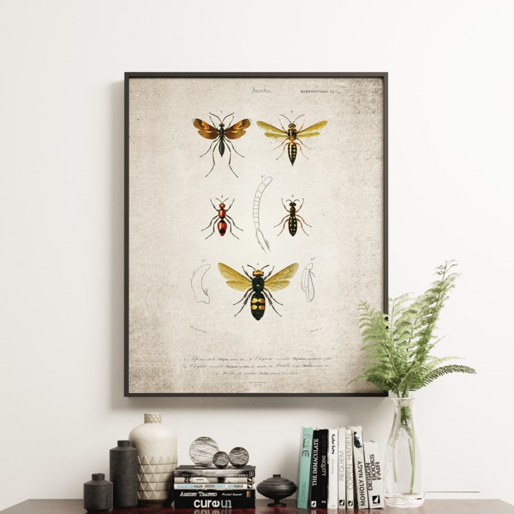 Minibeast Vintage Entomology Giclee Print (Wasp Plate From 1907)