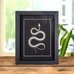 Minibeast White-lipped Pit Viper Skeleton In Box Frame (Trimeresurus albolabris)