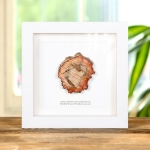 Petrified Wood In Box Frame (Araucarioxylon arizonicum)