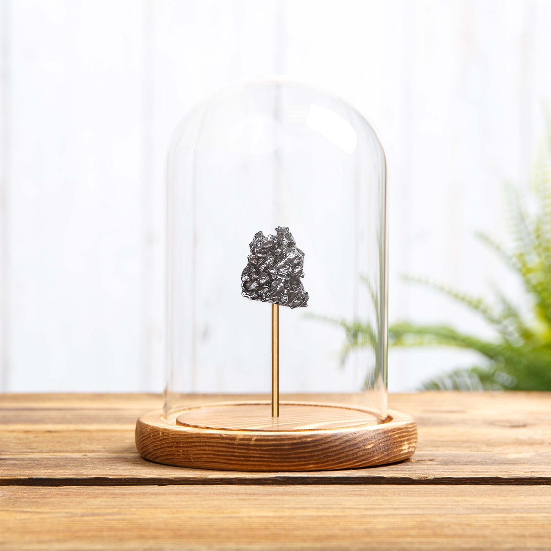 Campo del Cielo Meteorite In Glass Dome with Wooden base