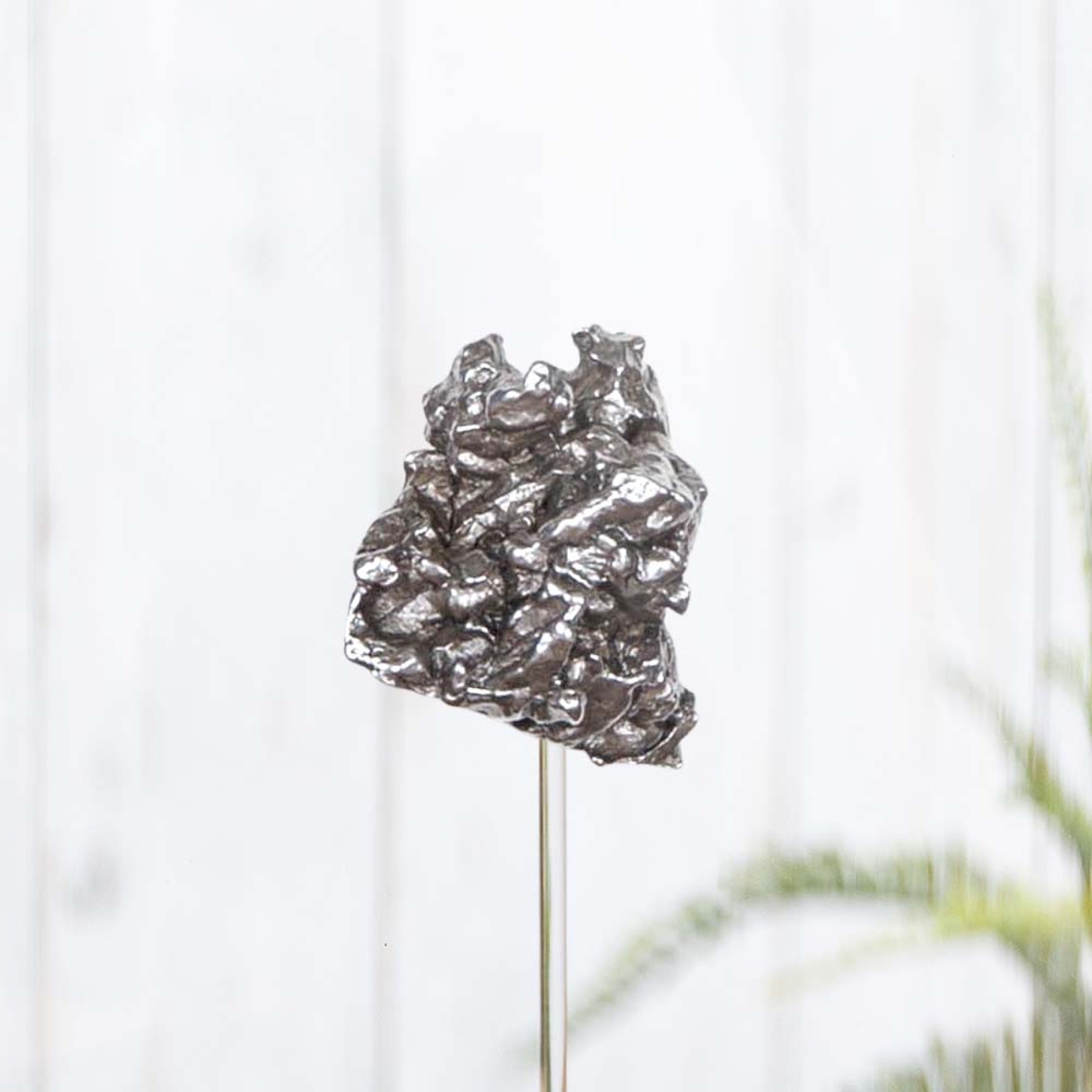 Campo del Cielo Meteorite In Glass Dome with Wooden base