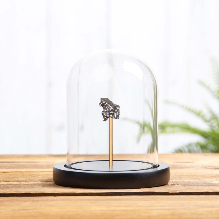 Small Campo del Cielo Meteorite In Glass Dome with Wooden base