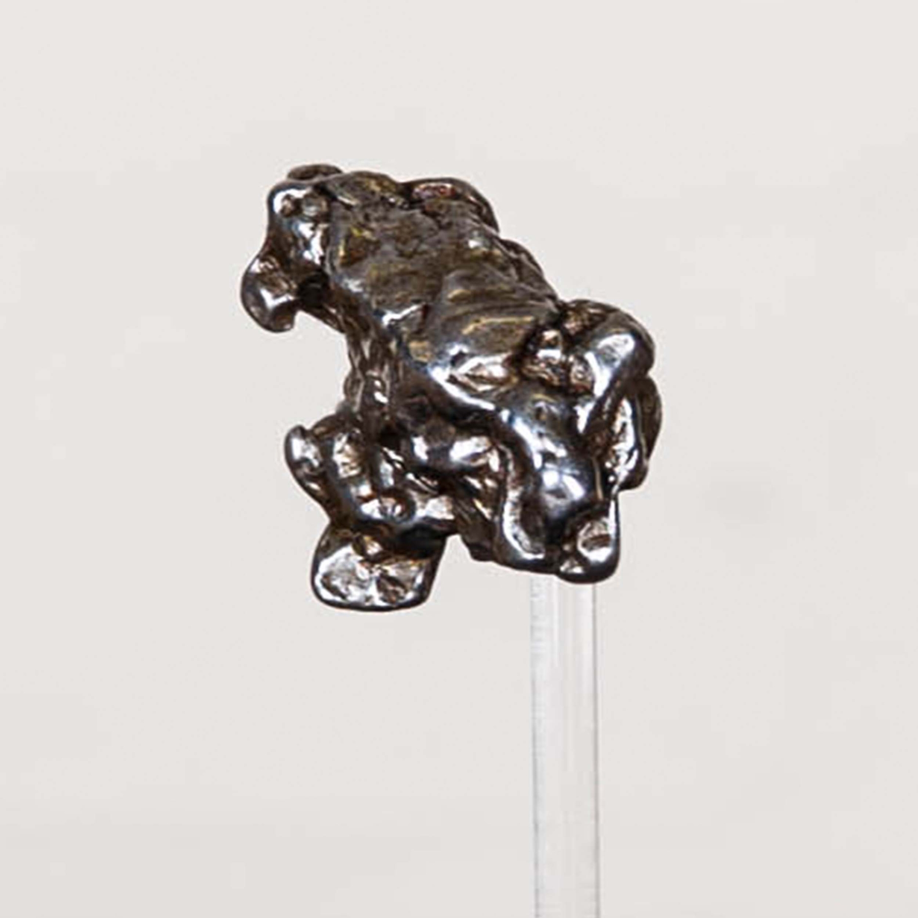 Small Campo del Cielo Meteorite In Glass Dome with Wooden base