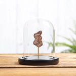 Fossilised Dinosaur Poo In Glass Dome (Coprolite) Minibeast Fossilised Dinosaur Poo In Glass Dome (Coprolite)