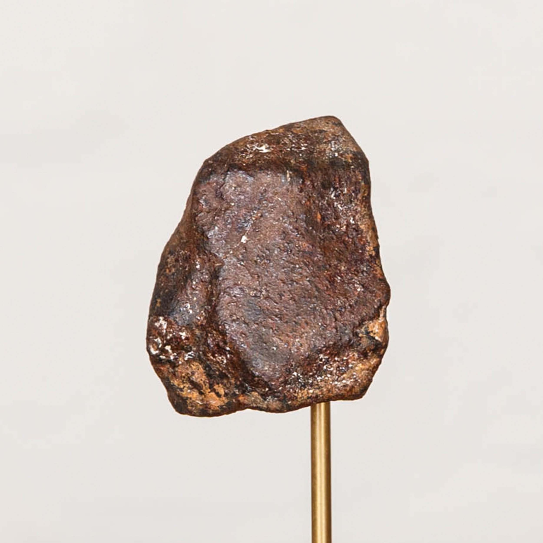 Minibeast Meteorite In Glass Dome 