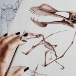 Pterodactyloid Pterosaur Dinosaur (Anhanguera sp) Watercolour Giclée Print Minibeast Pterodactyloid Pterosaur Dinosaur (Anhanguera sp) Watercolour Giclée Print