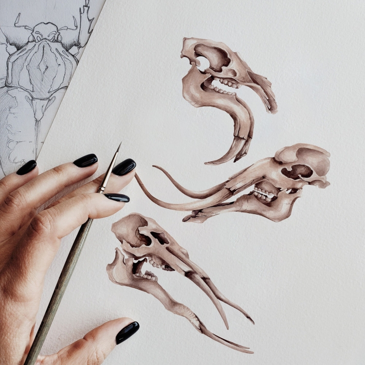 Neades Skeleton Watercolour Giclée Print