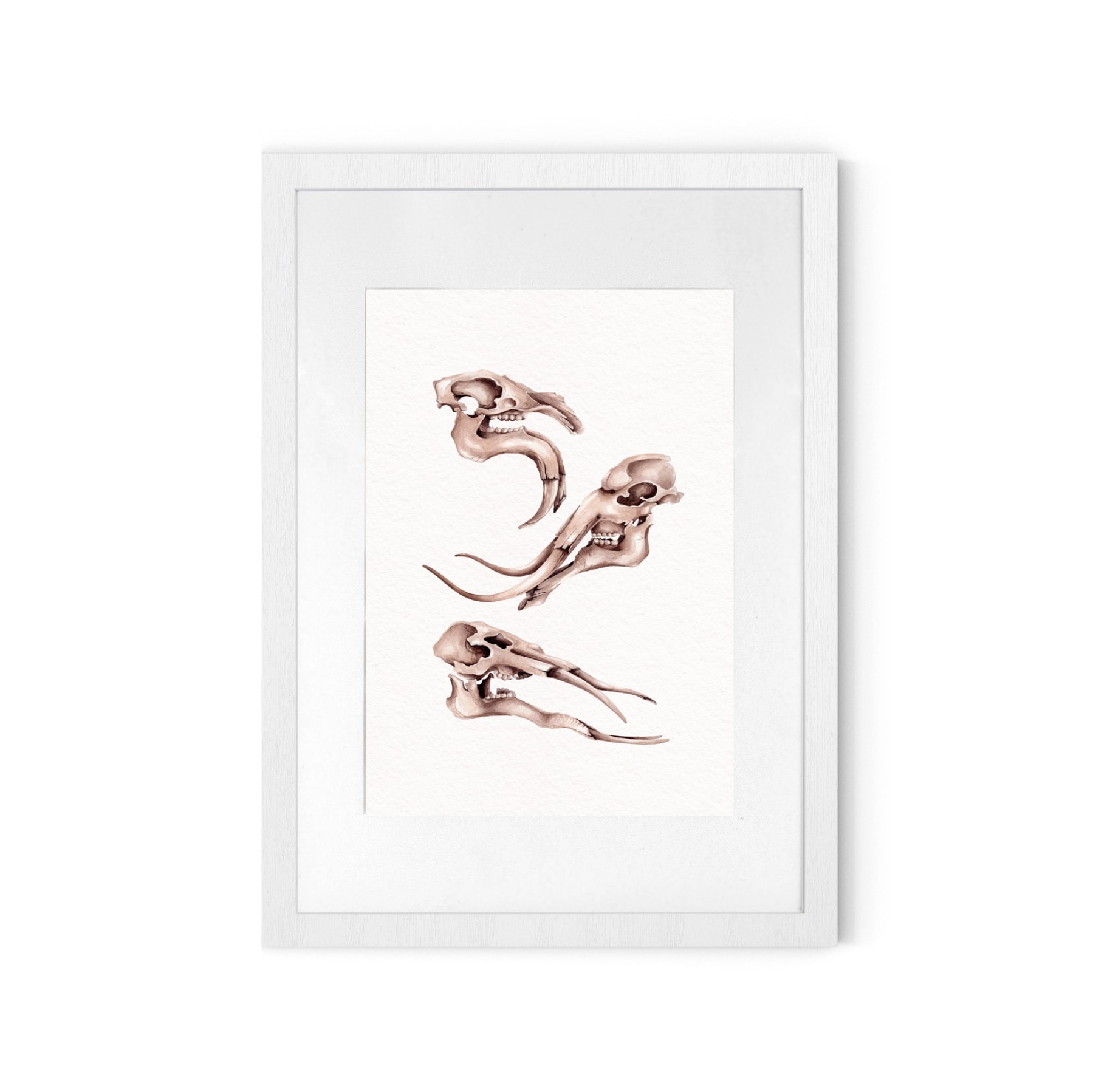 Neades Skeleton Watercolour Giclée Print