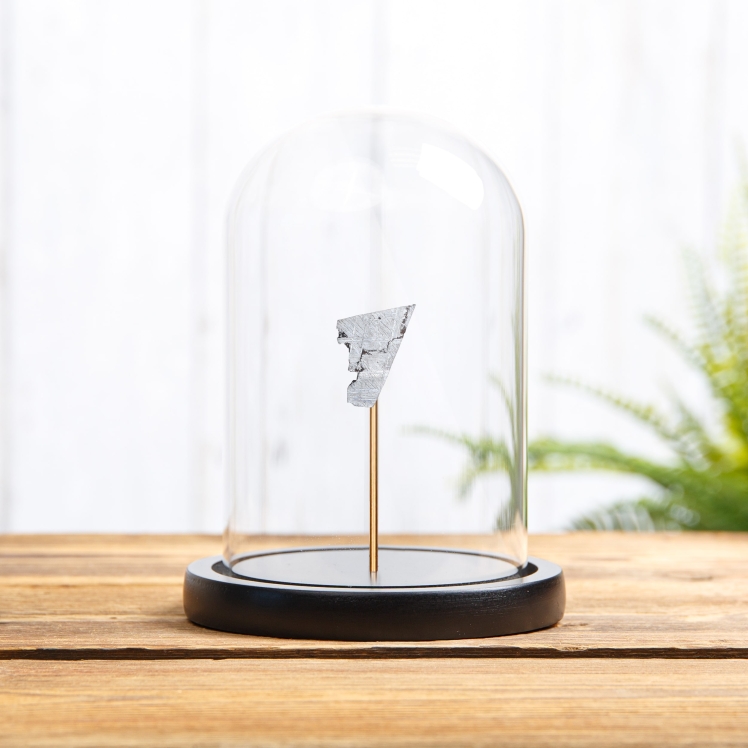 Muonionalusta Meteorite In Glass Dome With Wooden Base (Octahedrite)