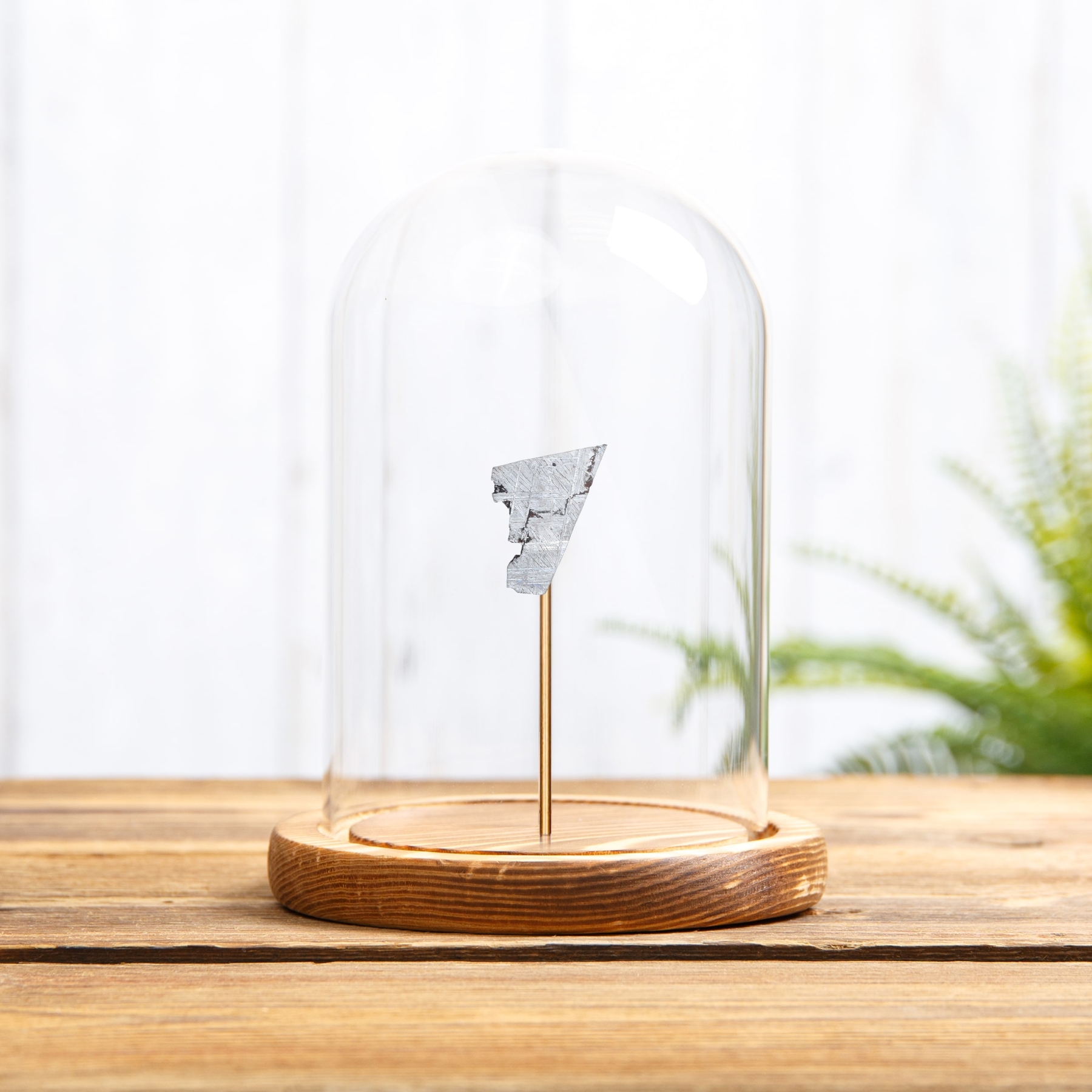 Muonionalusta Meteorite In Glass Dome With Wooden Base (Octahedrite) Muonionalusta Meteorite In Glass Dome With Wooden Base (Octahedrite)