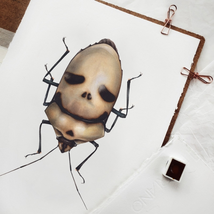 Death Head Bug (Eucorysses grandis) Watercolour Giclée Print