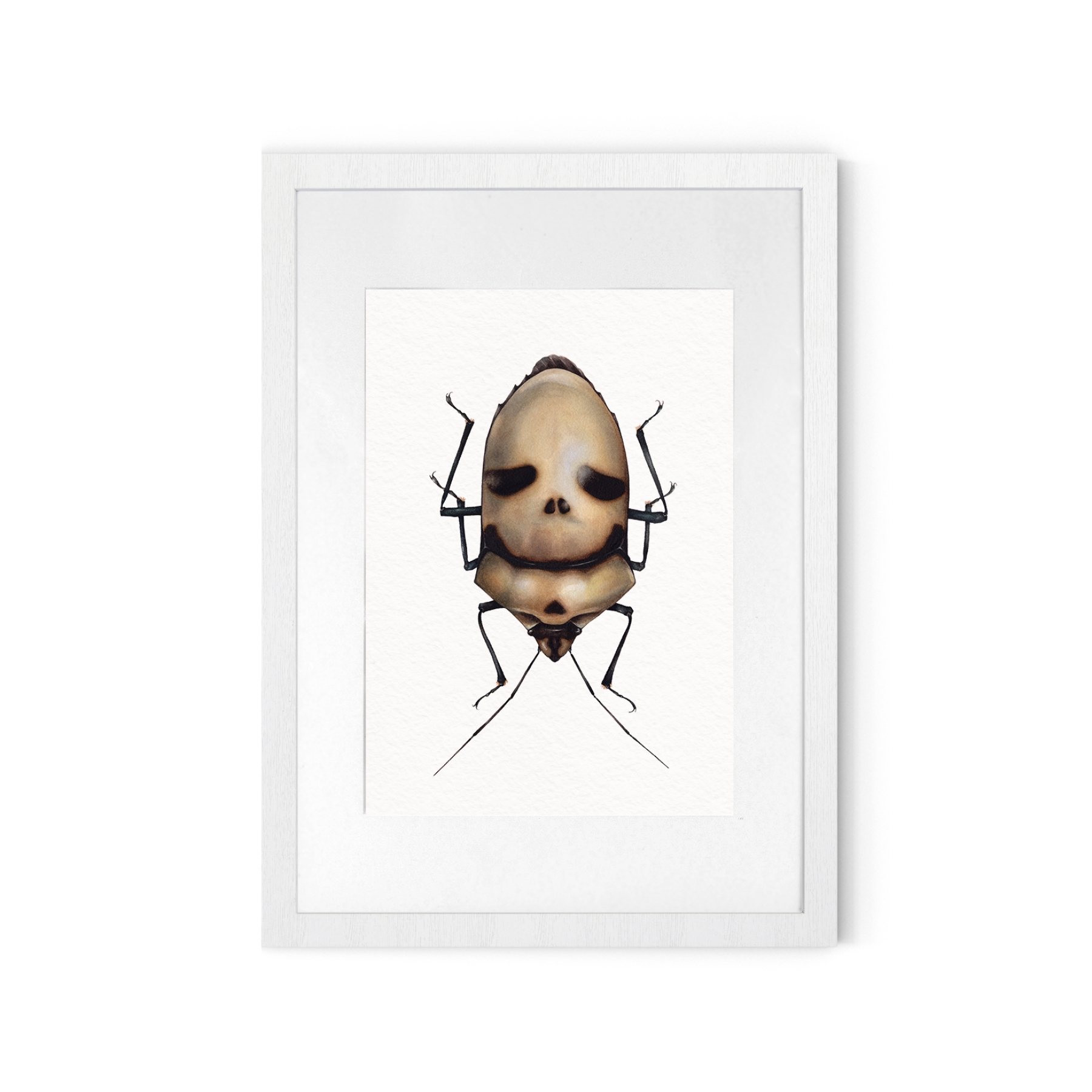 Death Head Bug (Eucorysses grandis) Watercolour Giclée Print