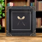 Minibeast Spoon-winged Lacewing In Baroque Style Frame (Nemoptera sinuata)