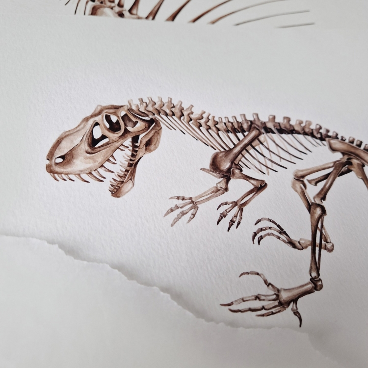 Allosaurus Dinosaur Watercolour Giclée Print