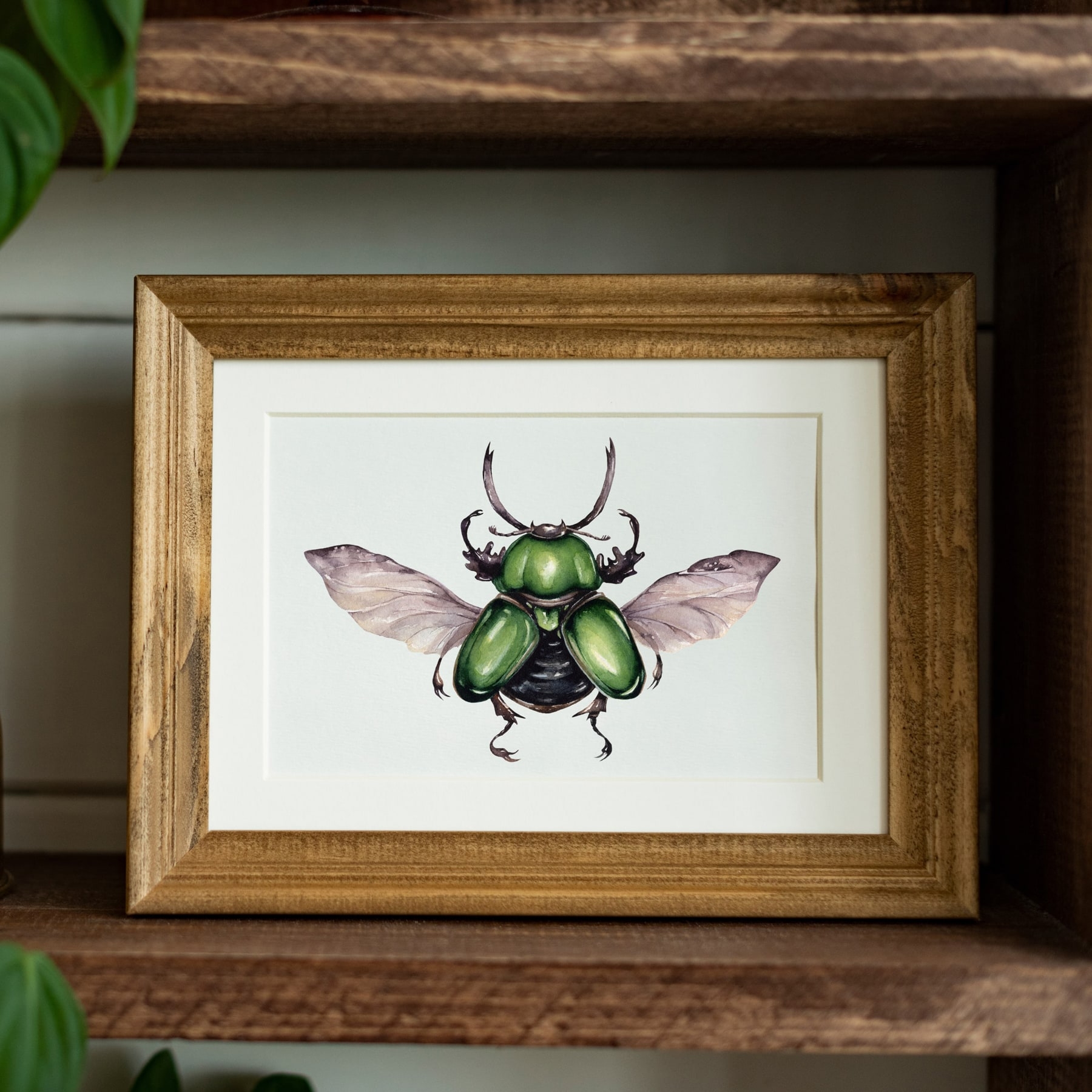 Male Saw Tooth Beetle (Lamprima adolphinae) Watercolour Giclée Print