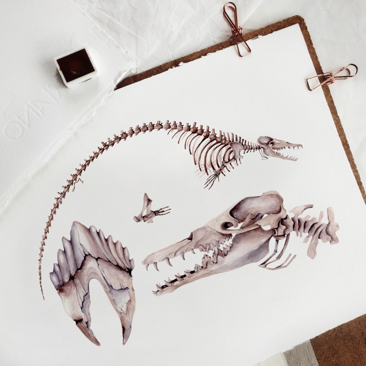 Platyosphys paulsoni Dinosaur Watercolour Giclée Print