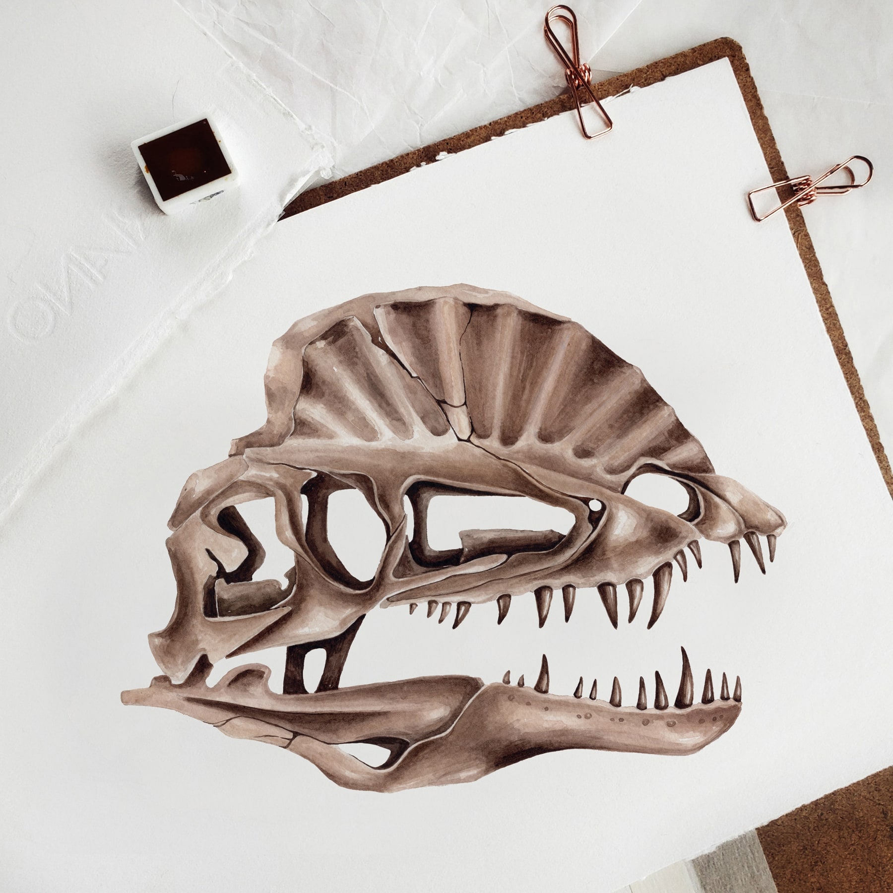 Dilophosaurus Dinosaur Watercolour Giclée Print