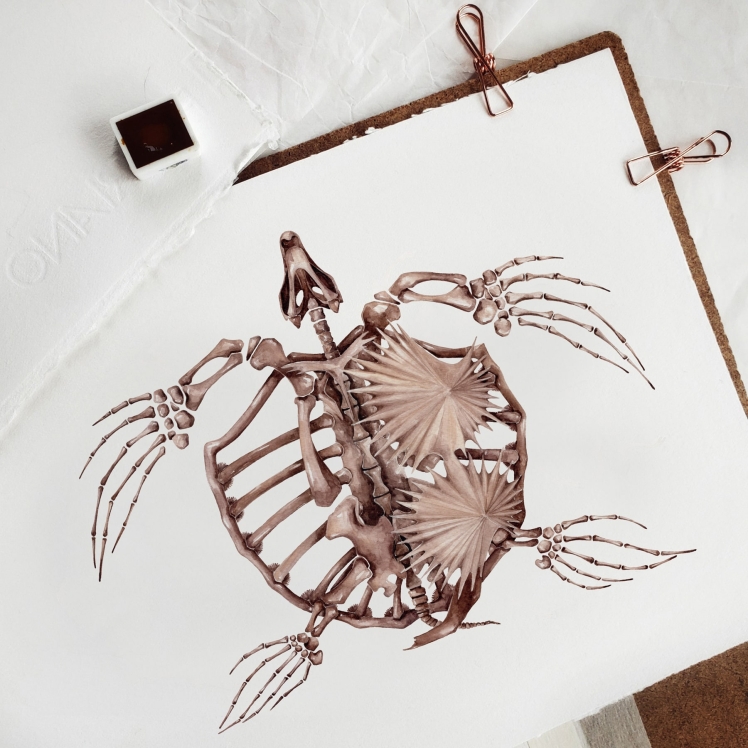 Archelon Dinosaur Watercolour Giclée Print