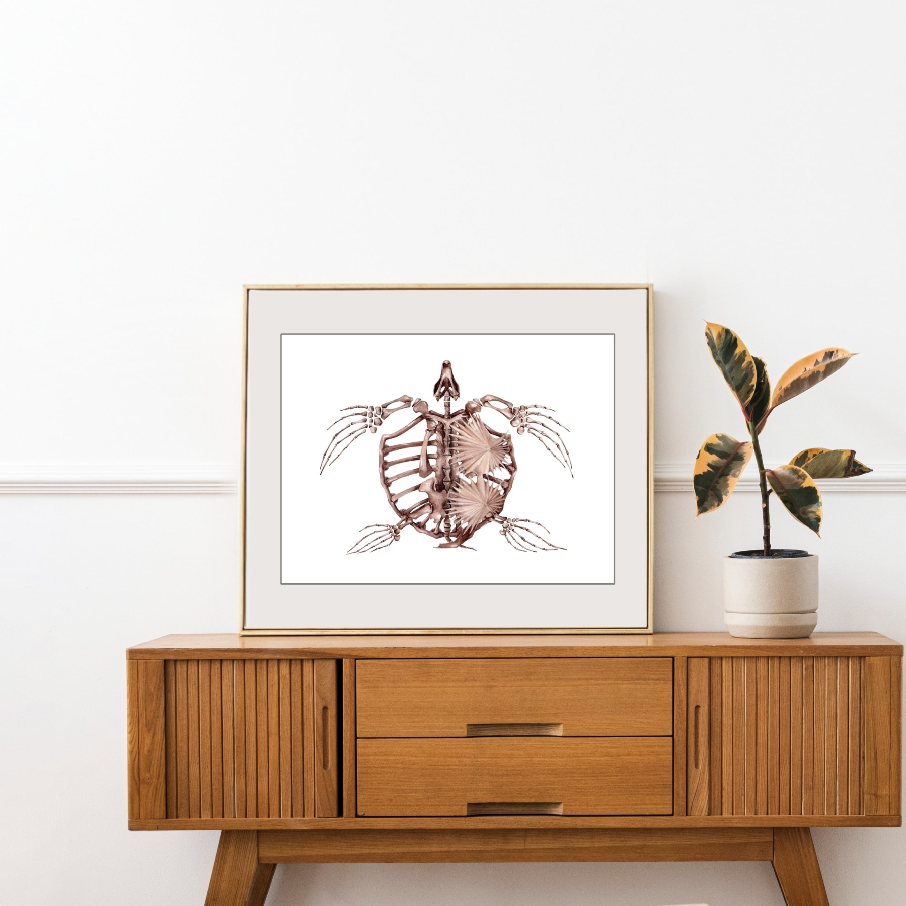 Archelon Dinosaur Watercolour Giclée Print