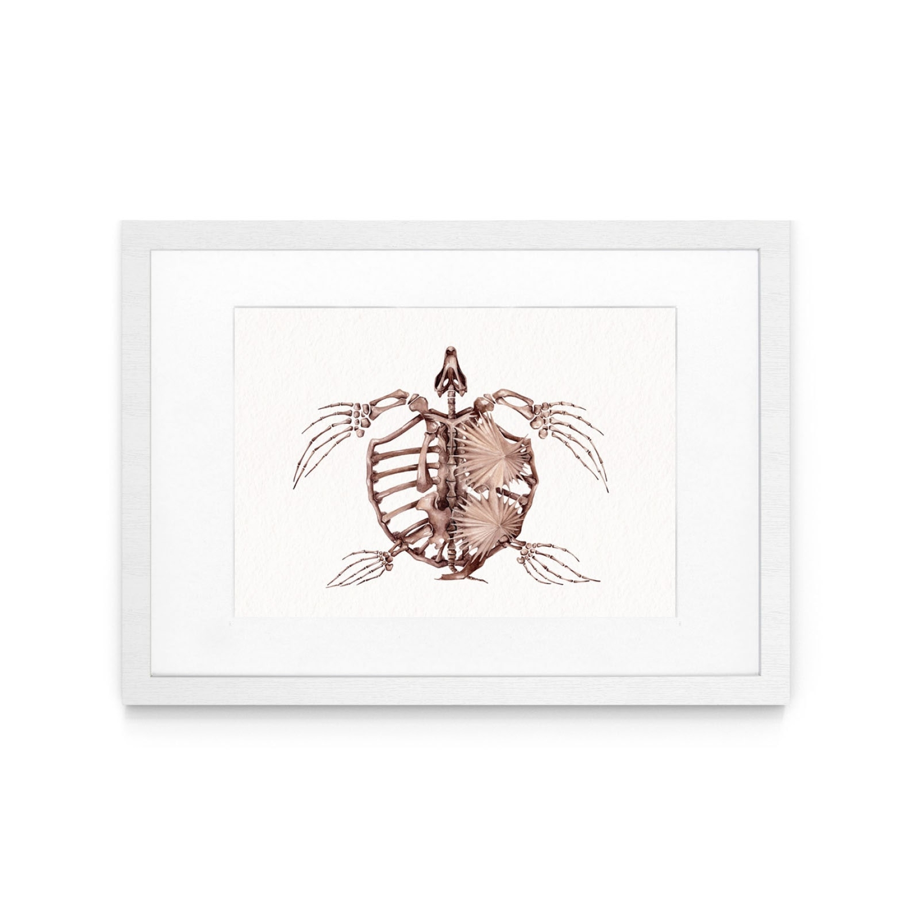Archelon Dinosaur Watercolour Giclée Print
