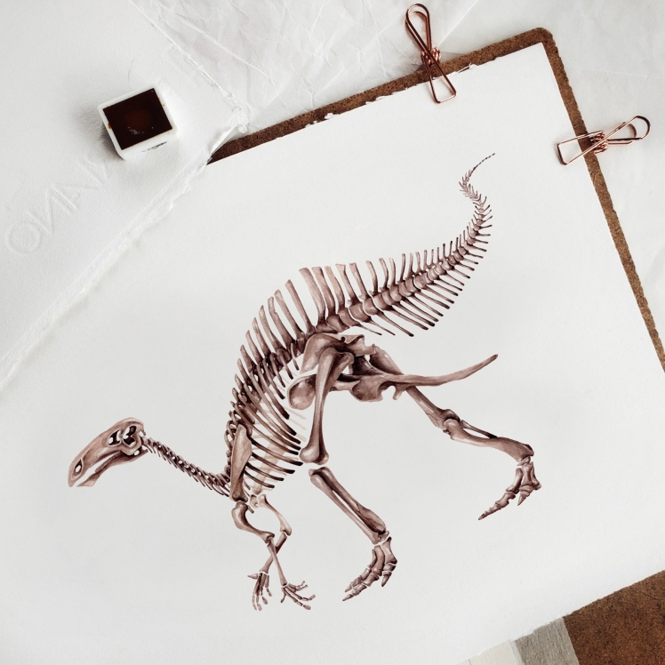 Riabininohadros Dinosaur Watercolour Giclée Print