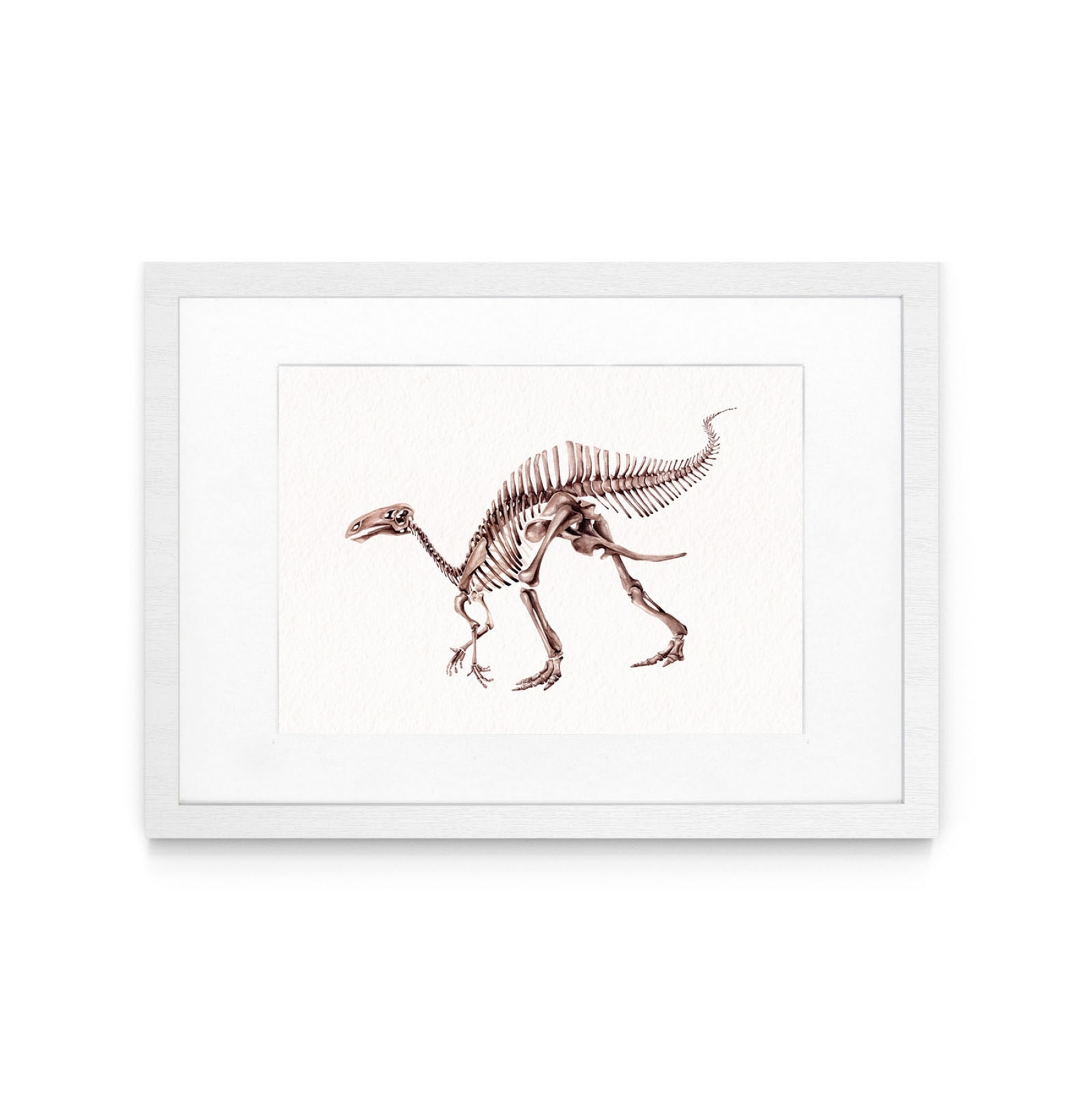 Riabininohadros Dinosaur Watercolour Giclée Print Riabininohadros Dinosaur Watercolour Giclée Print