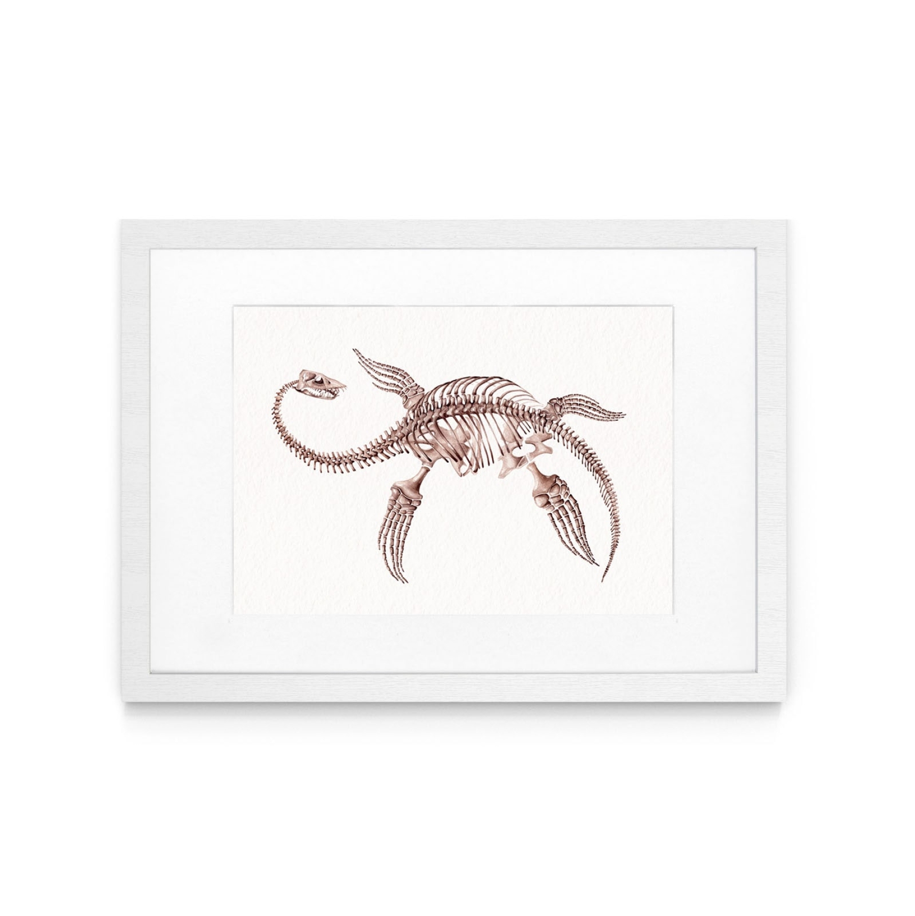 Plesiosaurus Dinosaur Watercolour Giclée Print Plesiosaurus Dinosaur Watercolour Giclée Print