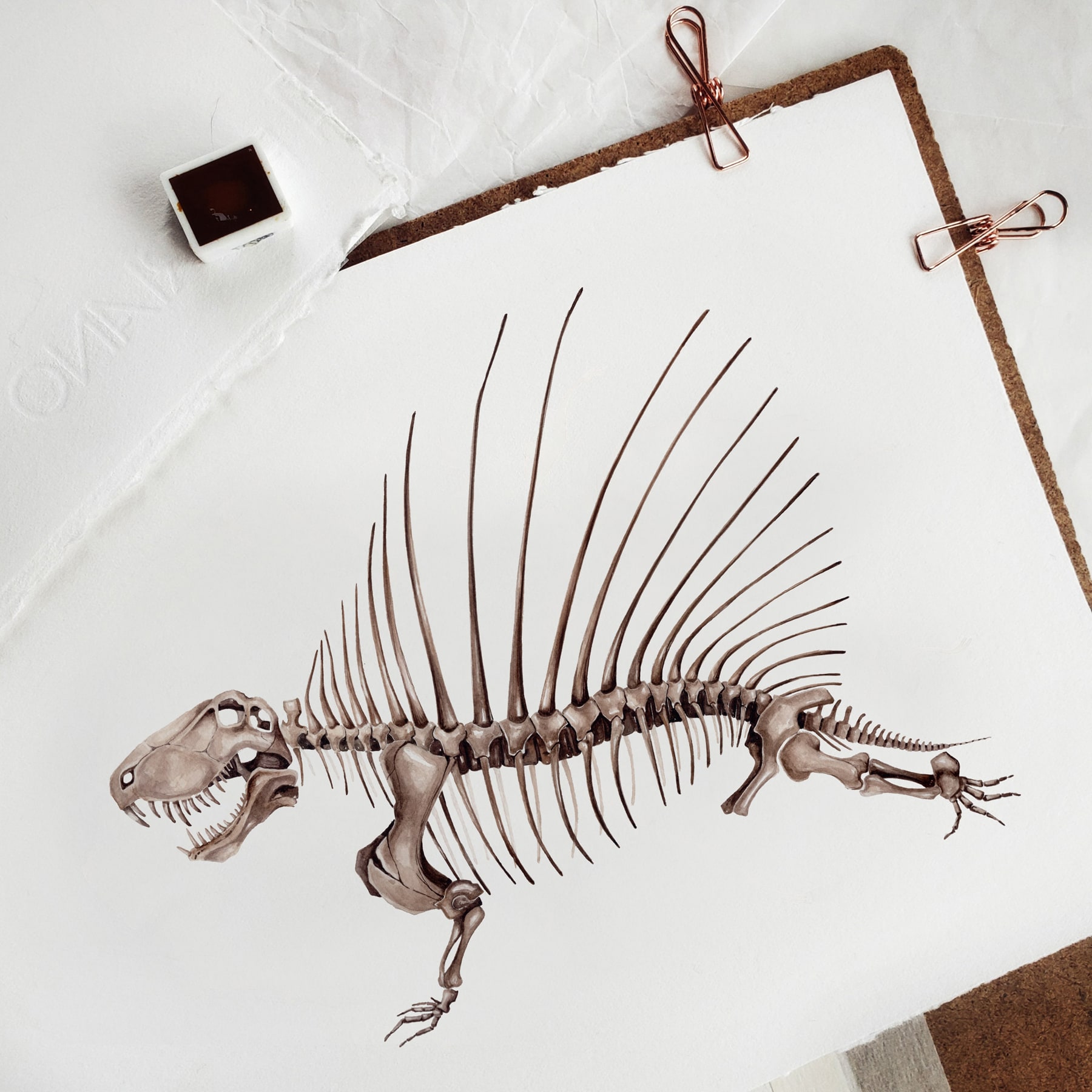 Dimetrodon Dinosaur Watercolour Giclée Print