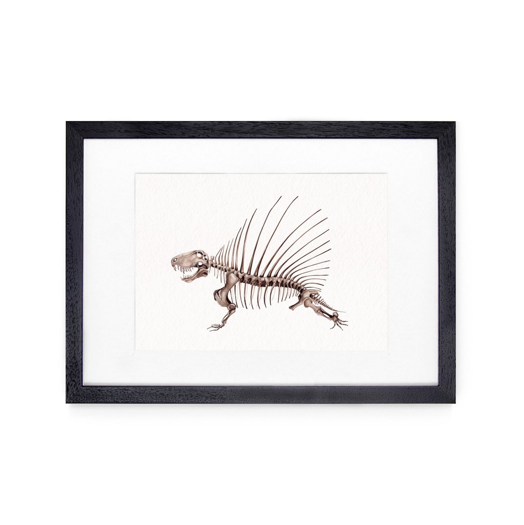 Dimetrodon Dinosaur Watercolour Giclée Print