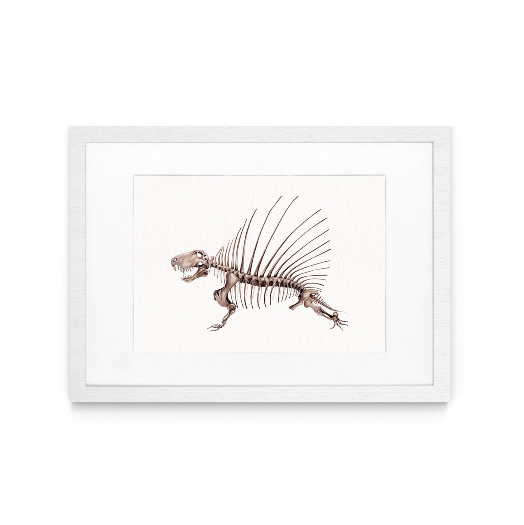 Dimetrodon Dinosaur Watercolour Giclée Print