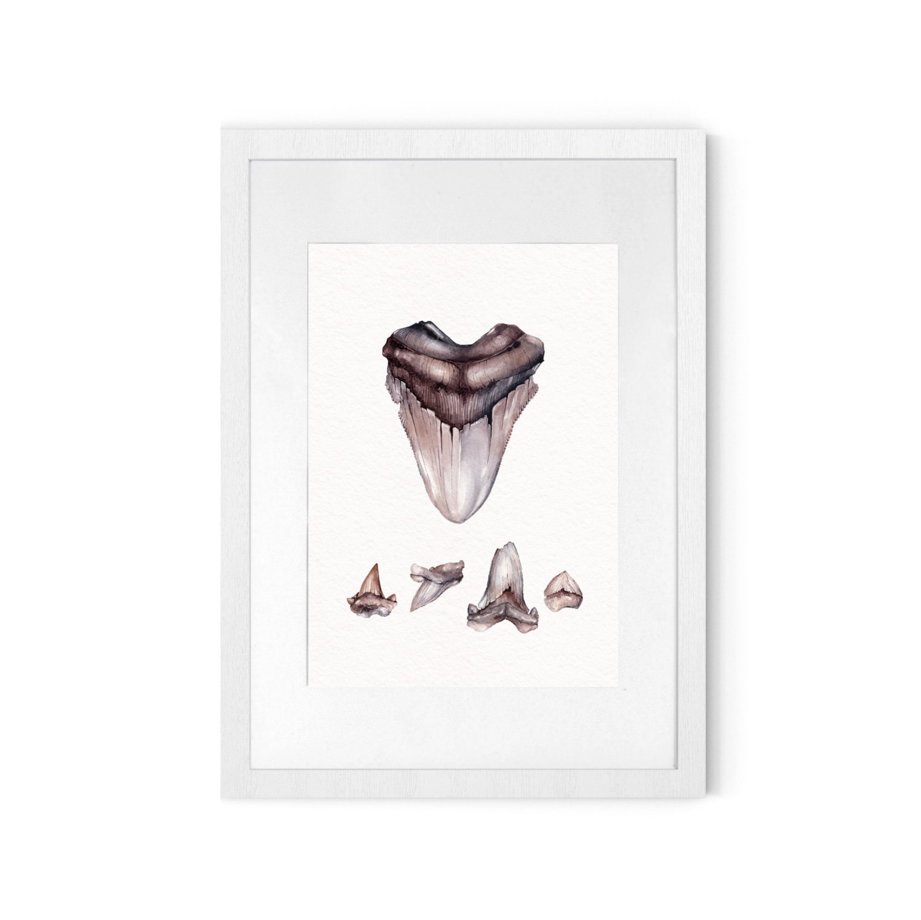 Ukrainian glossopetrae Shark Watercolour Giclée Print Ukrainian glossopetrae Shark Watercolour Giclée Print
