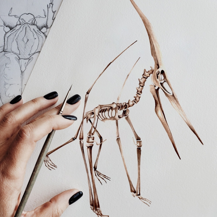 Pteranodon Dinosaur Watercolour Giclée Print