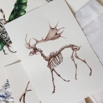 Minibeast Megaloceros Watercolour Giclée Print