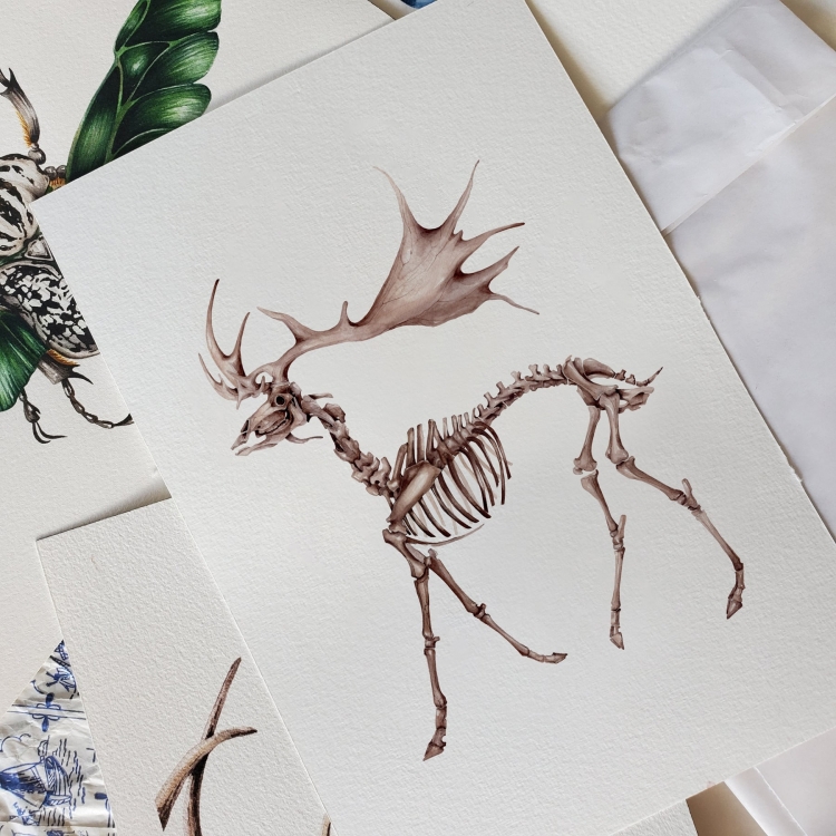 Megaloceros Watercolour Giclée Print