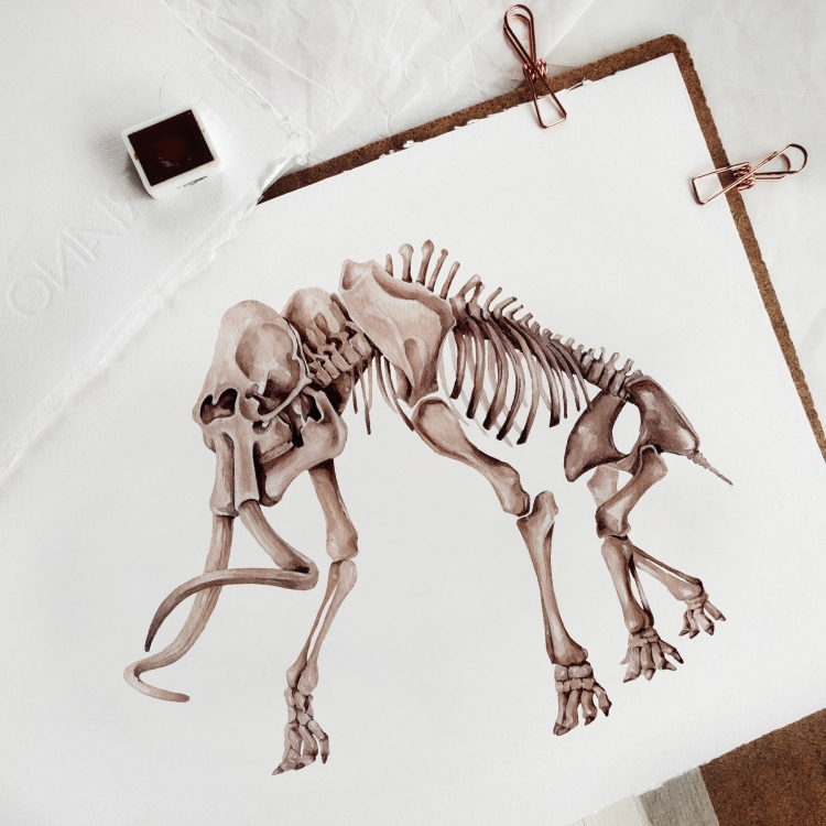 Woolly Mammoth (Mammuthus primigenius) Watercolour Giclée Print