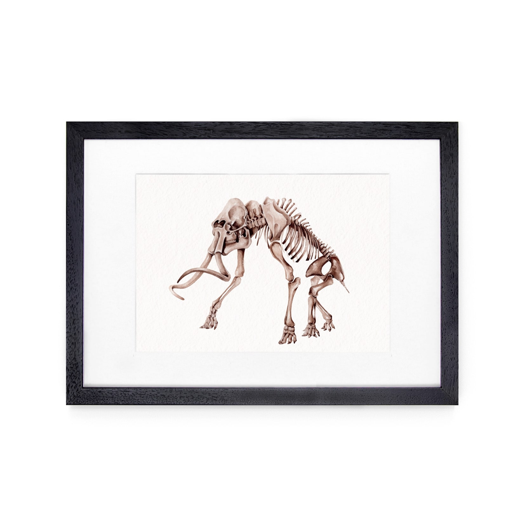 Woolly Mammoth (Mammuthus primigenius) Watercolour Giclée Print