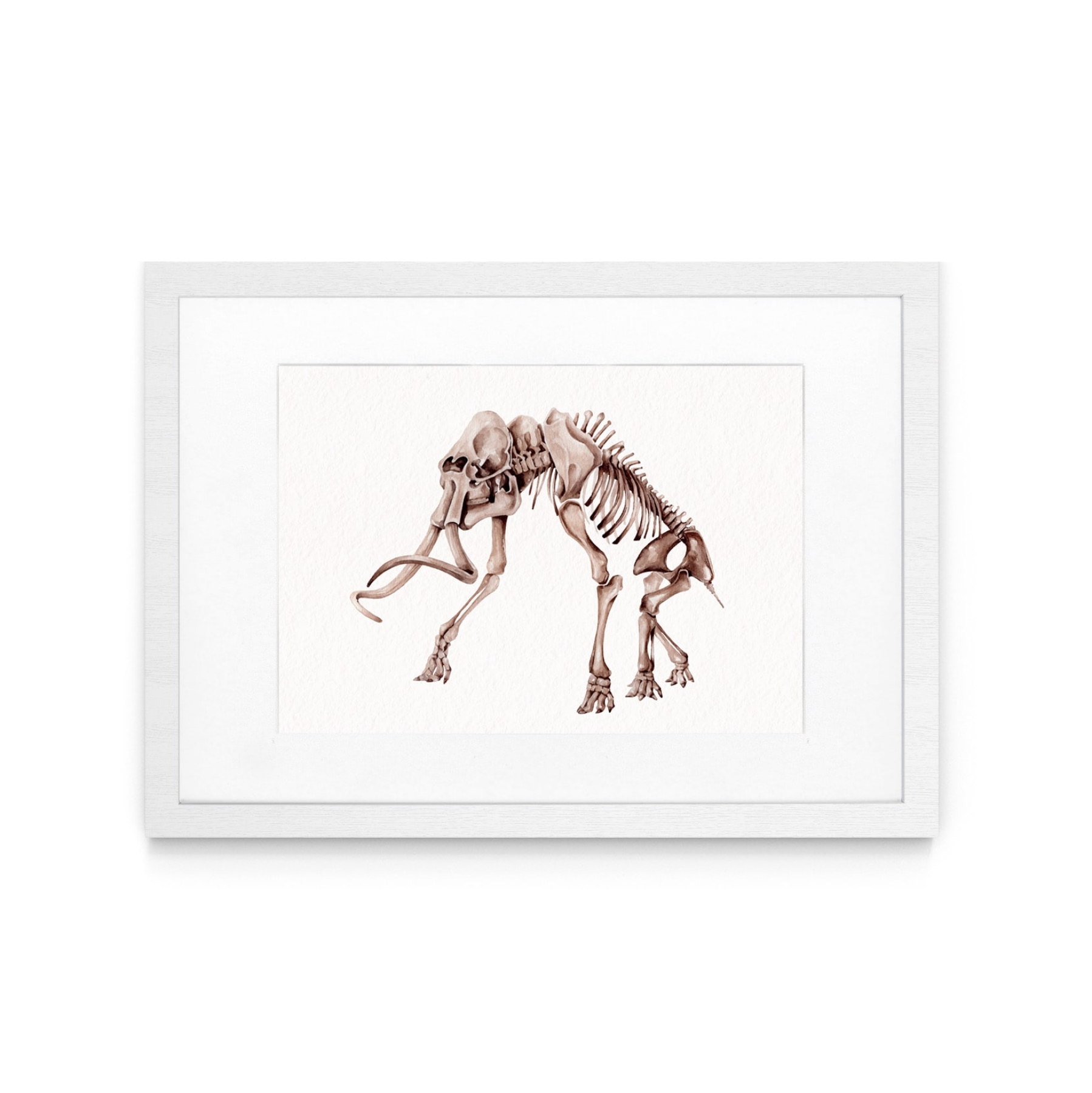 Woolly Mammoth (Mammuthus primigenius) Watercolour Giclée Print