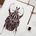 Minibeast Male Goliathus goliatus conspersus Watercolour Giclée Print