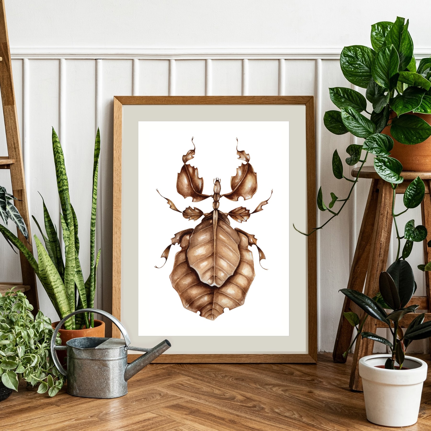 Giant Malaysian Leaf Insect (Pulchriphyllium giganteum) Watercolour Giclée Print