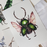 Minibeast Saw Tooth Beetle (Lamprima adolphinae) Watercolour Giclée Print