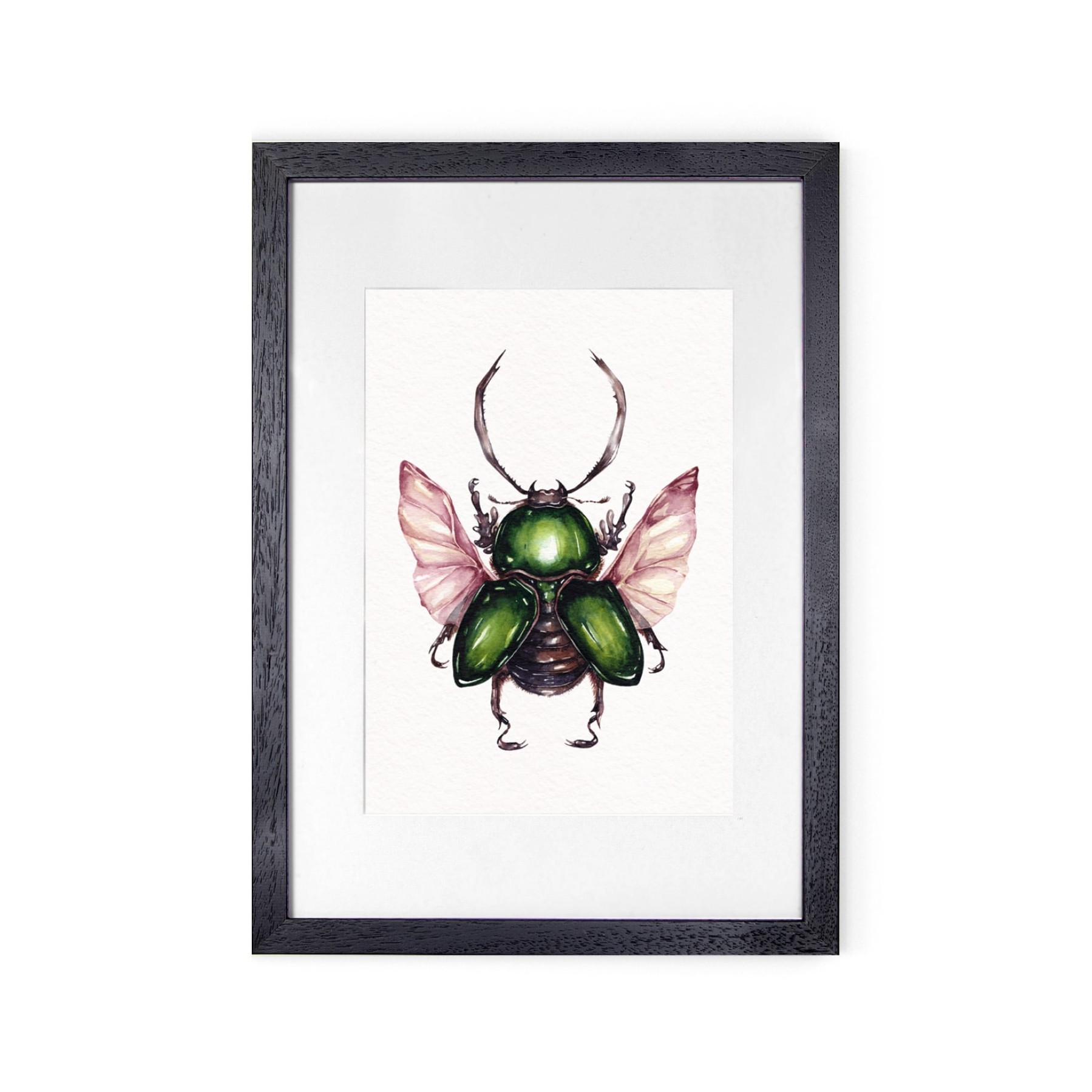 Saw Tooth Beetle (Lamprima adolphinae) Watercolour Giclée Print