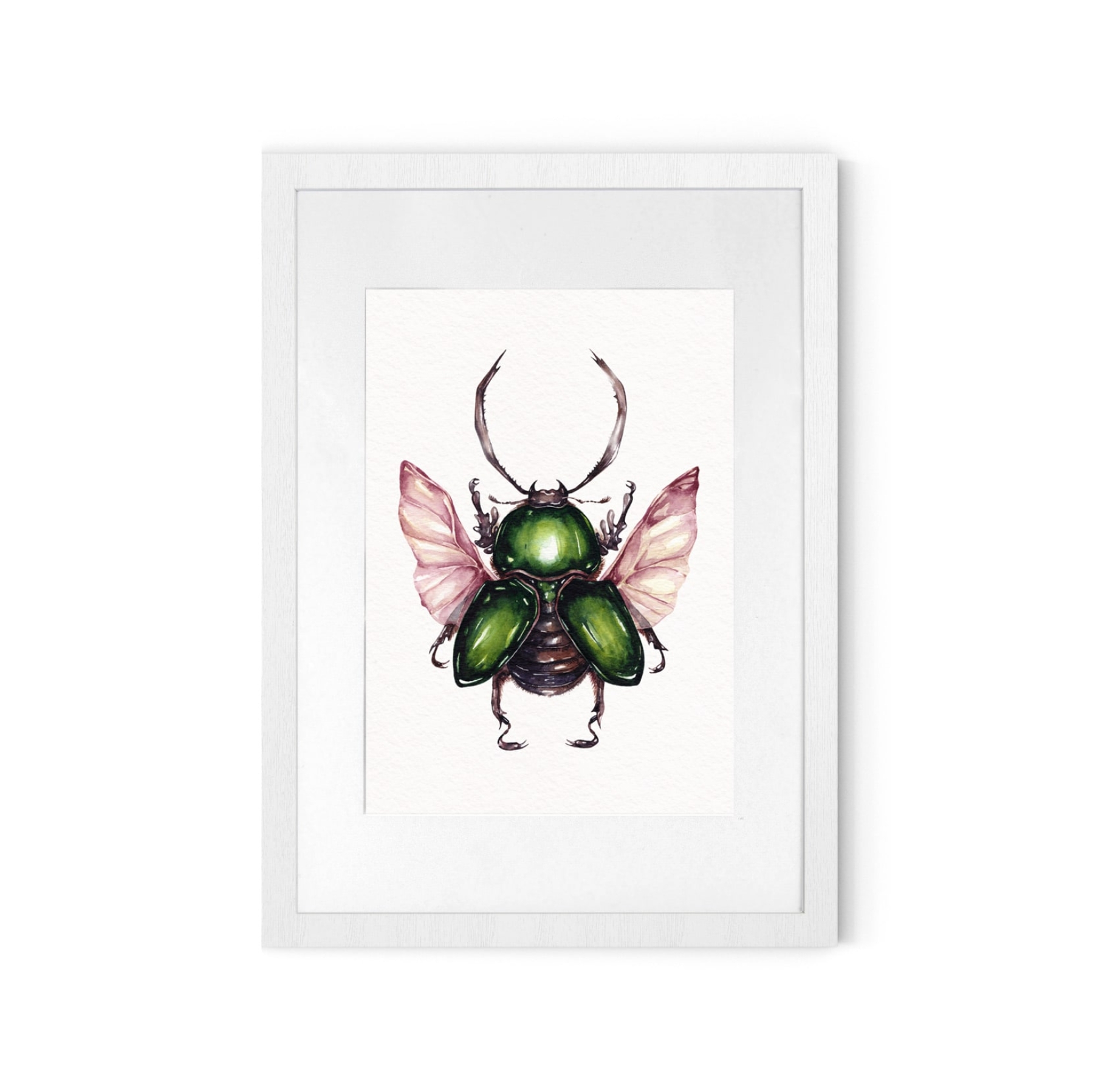 Saw Tooth Beetle (Lamprima adolphinae) Watercolour Giclée Print